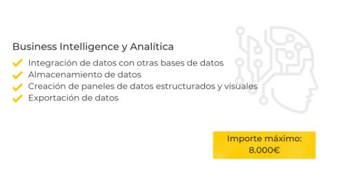 Business Intelligence y Analítica con el Kit Digital