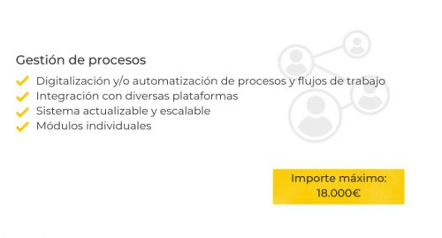 Gestión de procesos con el Kit Digital