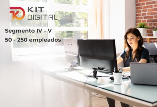 Kit Digital empresas de más de 50 empleados