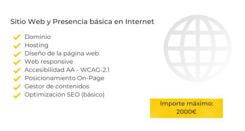 Solución página web con el Kit Digital